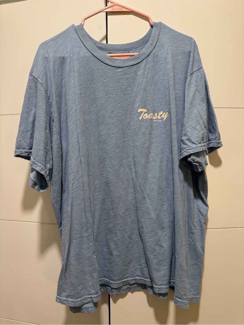 The Toast Podcast One Size Oversized Tee Merch